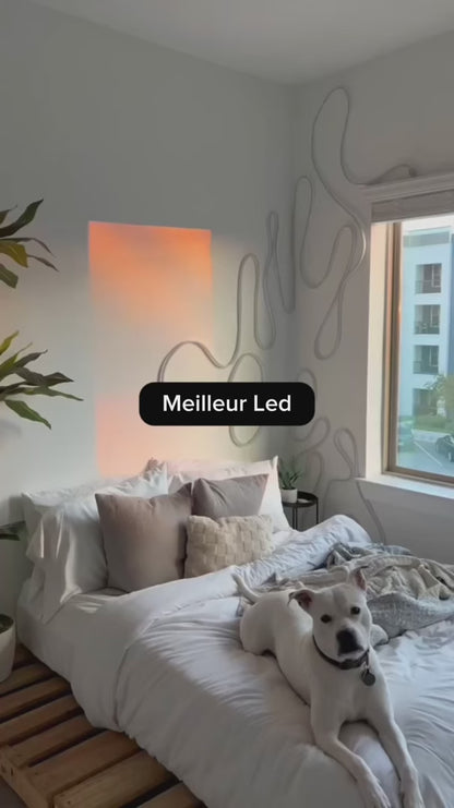 POEDAGAR 1410 – La Montre des Hommes d’Exception